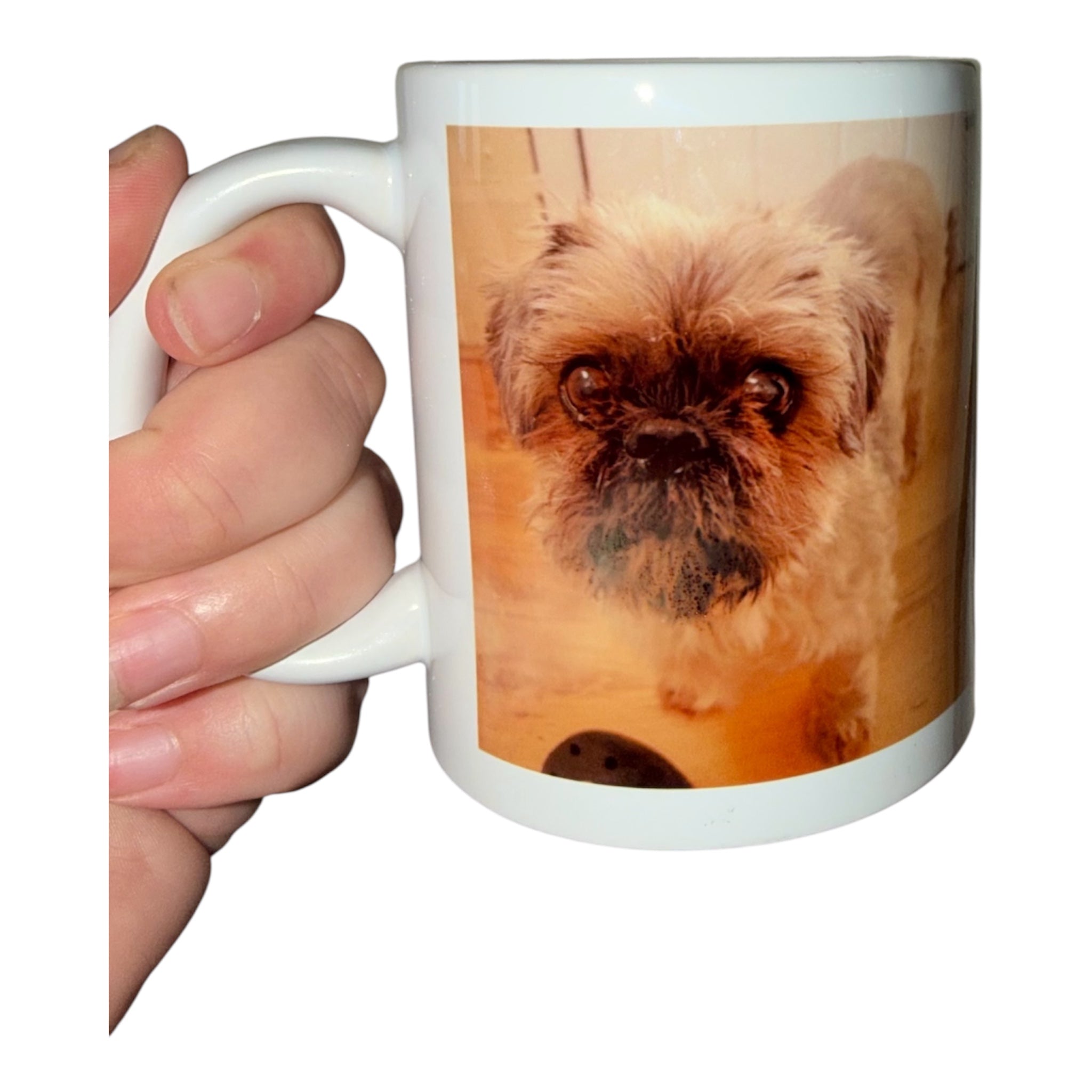 Create Your Own Pet Memorial Mug